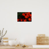 Poster Afrique du Sud Vert Orange Fleurs Succulentes (Cuisine)