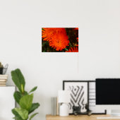 Poster Afrique du Sud Vert Orange Fleurs Succulentes (Bureau à domicile)