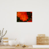Poster Afrique du Sud Vert Orange Fleurs Succulentes (Cuisine)