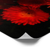 Poster Afrique du Sud Vert Orange Fleurs Succulentes (Coin)