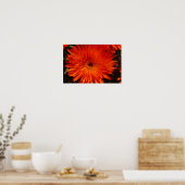 Poster Afrique du Sud Vert Orange Fleurs Succulentes (Cuisine)