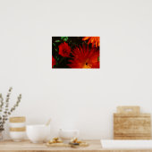 Poster Afrique du Sud Vert Orange Fleurs Succulentes (Cuisine)