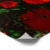 Poster Afrique du Sud Vert Orange Fleurs Succulentes (Coin)