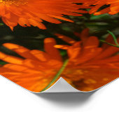 Poster Afrique du Sud Vert Orange Fleurs Succulentes (Coin)