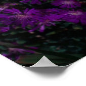 Poster Afrique du Sud Vert pourpre Fleurs Succulentes (Coin)