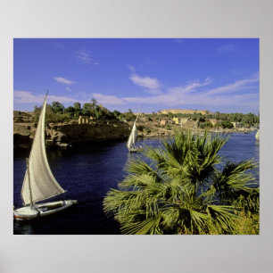 Poster Afrique, Égypte, Haute-Égypte, Assouan. Feluccas 2