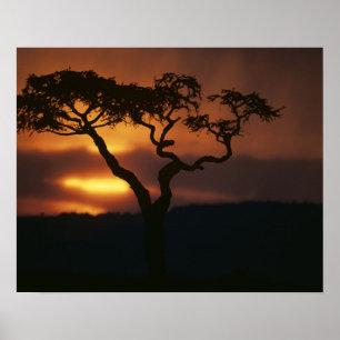 Poster Afrique, Kenya, Réserve de Masai Mara, Cadre