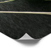 Poster Afrique, Ouganda, Bwindi (Coin)