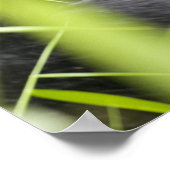 Poster Afrique, Ouganda, Bwindi impénétrable National (Coin)