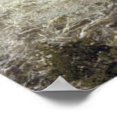 Poster Afrique, Ouganda, Murchison Falls NP. La mousse (Coin)