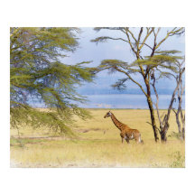Afrique Safari Giraffe aquarelle peinture