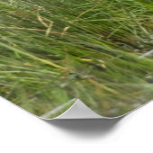 Poster Afrique. Tanzanie. Boutique à bec de selle à (Coin)