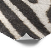 Poster 'Afrique, Tanzanie, zone de conservation du Ngoron (Coin)