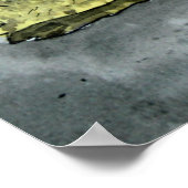 Poster afrique tortue terre carte d'affiche (Coin)