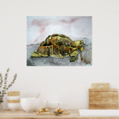 Poster afrique tortue terre carte d'affiche (Cuisine)