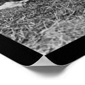 Poster Afro-Américains avec Kazoos et une guitare 1914 (Coin)