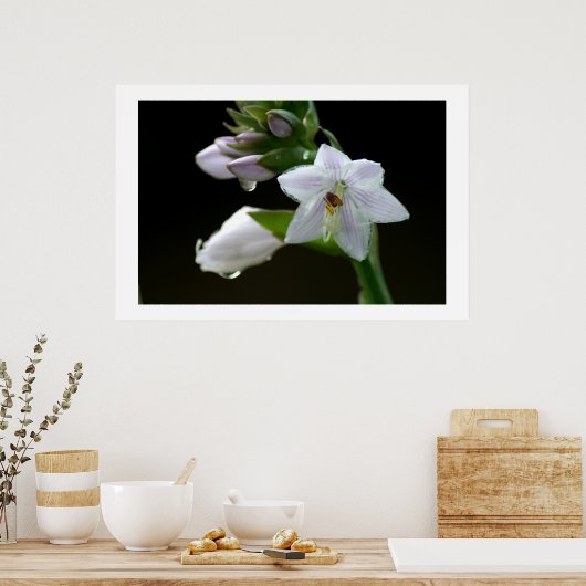 Poster After the rain (Cuisine)