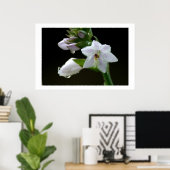 Poster After the rain (Bureau à domicile)