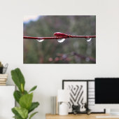 Poster After the Rain (Bureau à domicile)