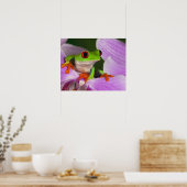 Poster Agalychnis callidryas. (Cuisine)