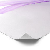 Poster Agapanthus (Coin)