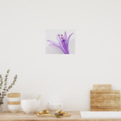 Poster Agapanthus (Cuisine)