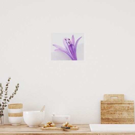 Poster Agapanthus (Cuisine)
