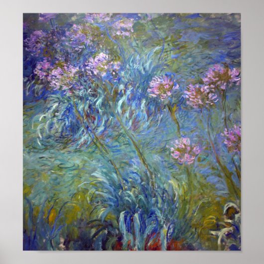 Poster Agapanthus, Monet (Devant)