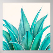 Poster Agave (Devant)