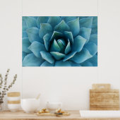 Poster Agave bleue (Cuisine)