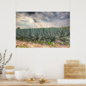 Poster Agave bleue (Cuisine)