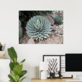 Poster Agave de Coues ~Impression~ (Bureau à domicile)