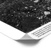 Poster Agave in Deep Canyon Desert Research Station (Coin)