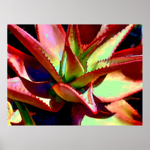 Poster Agave rouge et vert