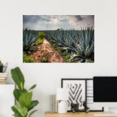 Poster Agave Tequilana (Bureau à domicile)
