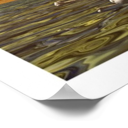 Poster Âge des anges (Coin)