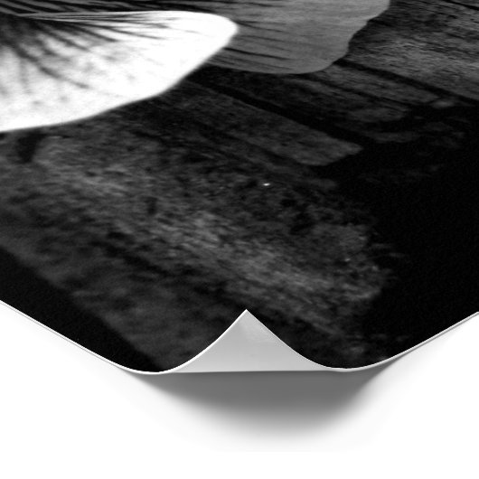 Poster Âge d'innocence (Coin)