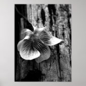 Poster Âge d'innocence (Devant)