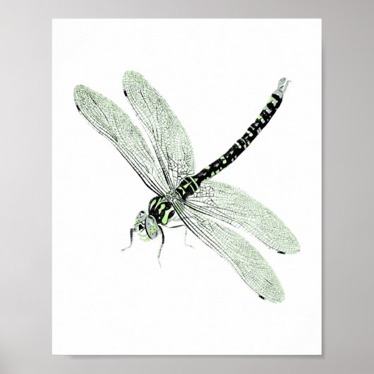 Poster Agender Pride Vintage Dragonfly Art (Devant)