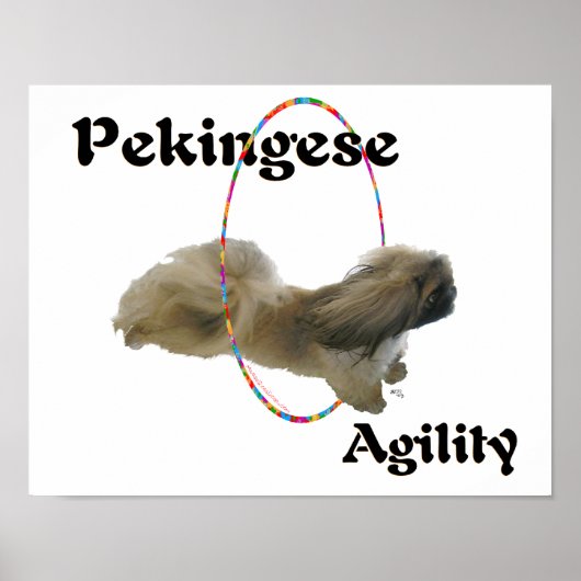 Poster Agilité du Pékinois (Devant)