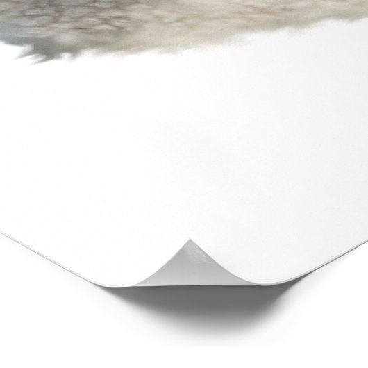 Poster Agneau de Dieu (Coin)