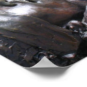 Poster Agonie réconfortante (Coin)