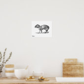 Poster Agouti (Cuisine)