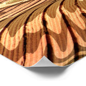 POSTER AGRICULTURE (Coin)