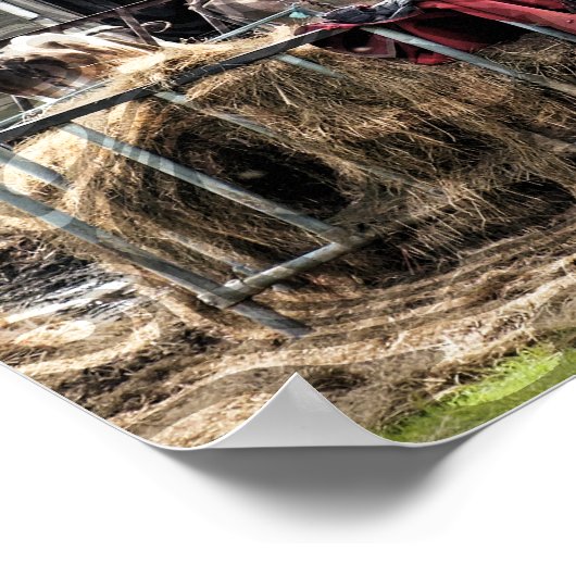 POSTER AGRICULTURE (Coin)