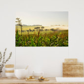 Poster Agriculture Brésil (Cuisine)