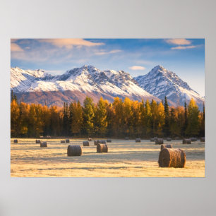 Poster Agriculture de l'Alaska