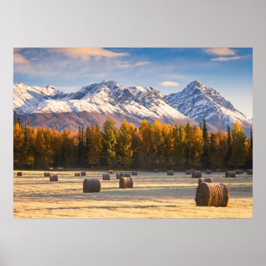 Poster Agriculture en Alaska (Devant)