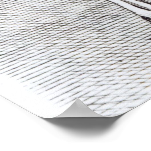 Poster Agrippina, c.1653 (Coin)