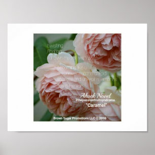 Poster Ahsek Novel Caramel Poem par Ahsek Novel